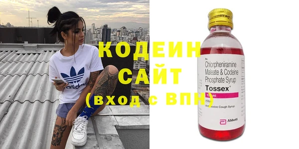 молекула духа Костерёво