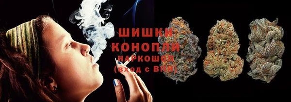 молекула духа Костерёво