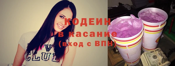 дживик Краснослободск