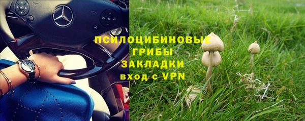 молекула духа Костерёво