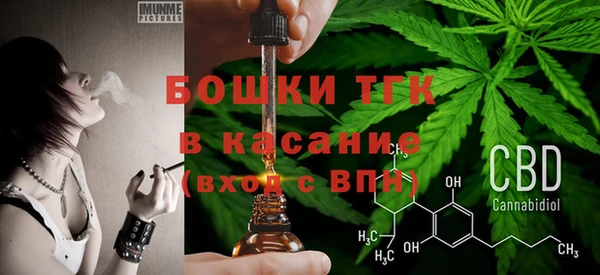 молекула духа Костерёво