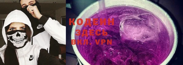 молекула духа Костерёво