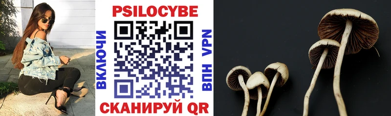 Псилоцибиновые грибы прущие грибы  Купить где  Верхотурье 